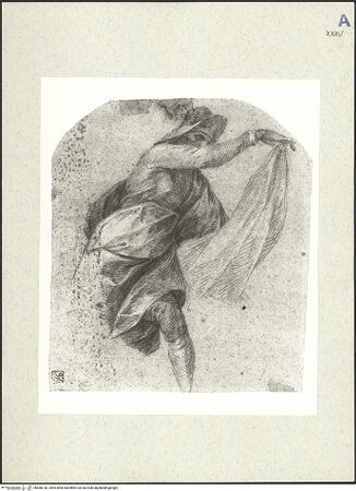 Vorderseite von bh488730_recto