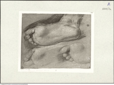 Vorderseite von bh488767_recto