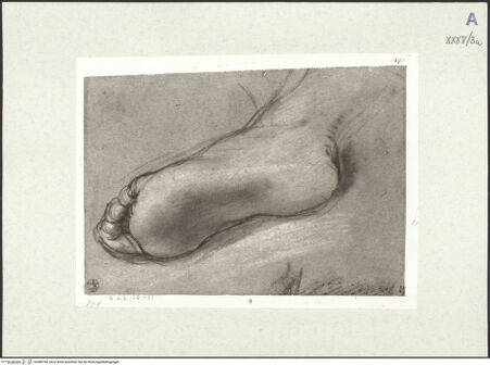 Vorderseite von bh488768_recto