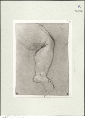 Vorderseite von bh488769_recto