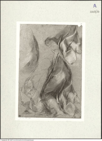 Vorderseite von bh488770_recto