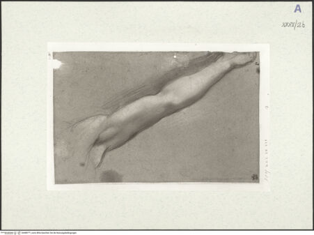 Vorderseite von bh488771_recto