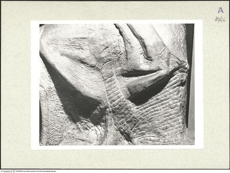 Vorderseite von bh488948_recto