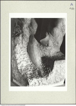 Vorderseite von bh488949_recto