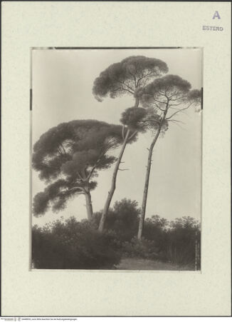 Vorderseite von bh488953_recto