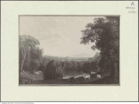 Vorderseite von bh488957_recto