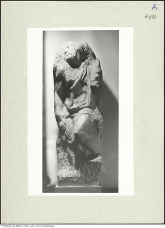 Vorderseite von bh488985_recto