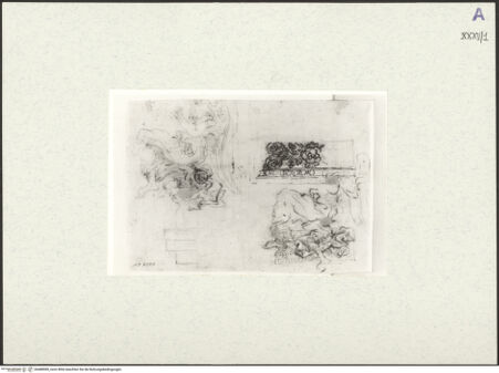 Vorderseite von bh488989_recto