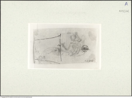 Vorderseite von bh488999_recto