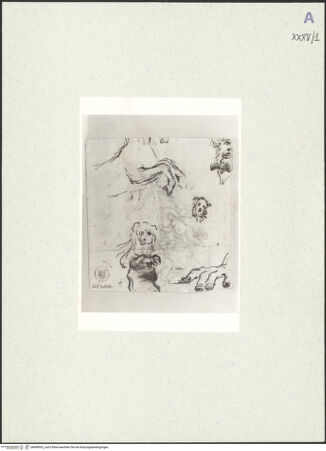 Vorderseite von bh489002_recto