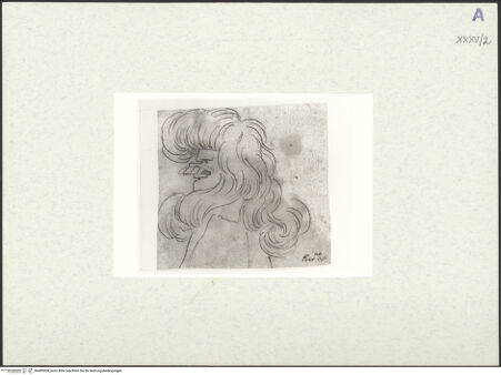 Vorderseite von bh489004_recto