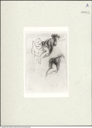 Vorderseite von bh489008_recto