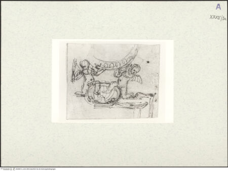 Vorderseite von bh489012_recto