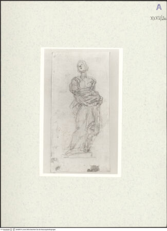 Vorderseite von bh489014_recto