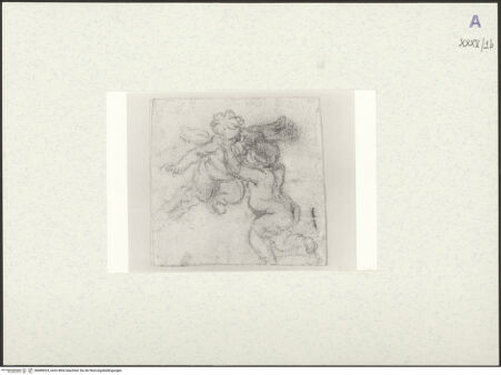 Vorderseite von bh489024_recto