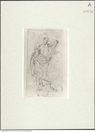 Vorderseite von bh489026_recto