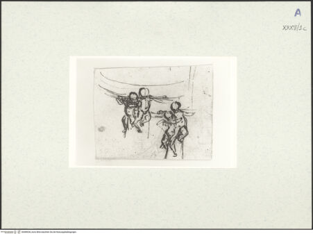 Vorderseite von bh489036_recto