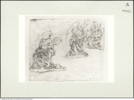 Vorderseite von bh489047_recto