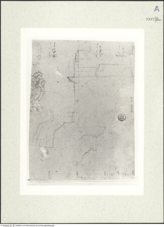 Vorderseite von bh489051_recto