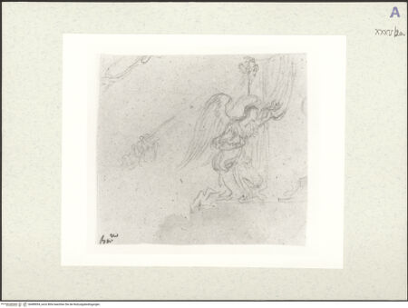 Vorderseite von bh489054_recto