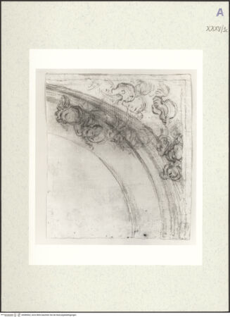 Vorderseite von bh489062_recto