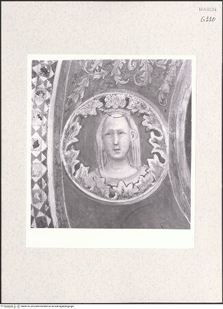 Vorderseite von bh489126_recto