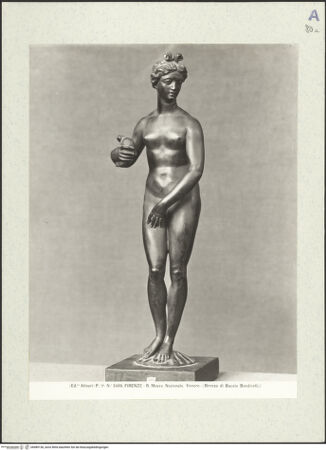 Vorderseite von Alinari [https://www.deutsche-digitale-bibliothek.de/content/lizenzen/rv-ez/] Venus - , bh489136_recto. Foto.