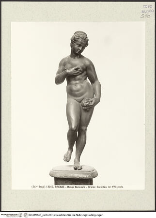 Vorderseite von Alinari [https://www.deutsche-digitale-bibliothek.de/content/lizenzen/rv-ez/] Venus? - , bh489143_recto. Foto.