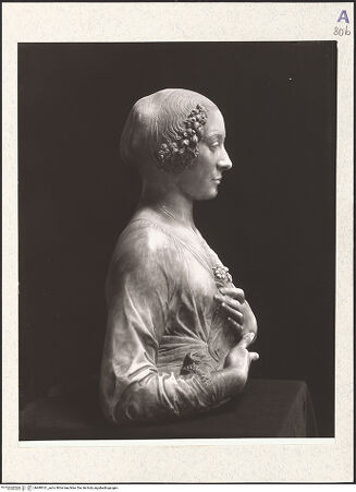 Vorderseite von bh489161_recto