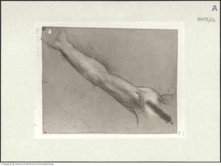 Vorderseite von bh489306_recto