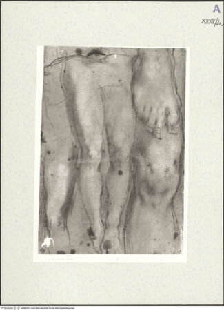 Vorderseite von bh489307_recto