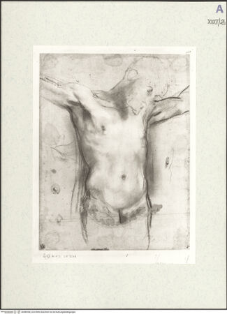 Vorderseite von bh489308_recto