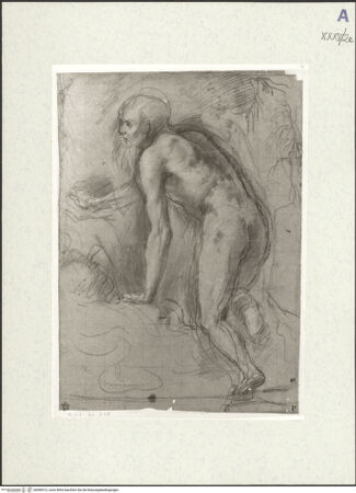 Vorderseite von bh489312_recto