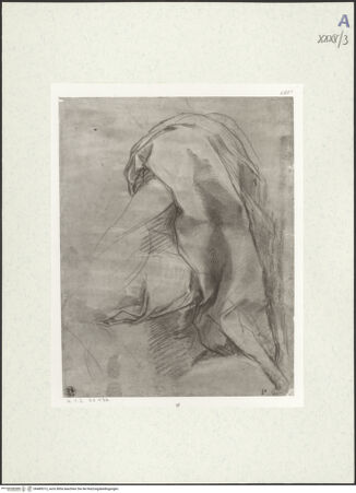 Vorderseite von bh489313_recto