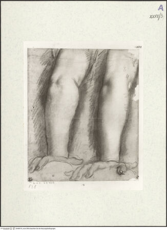 Vorderseite von bh489316_recto