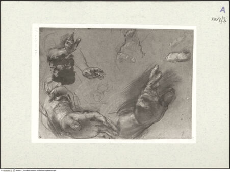 Vorderseite von bh489317_recto