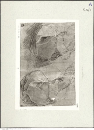 Vorderseite von bh489318_recto