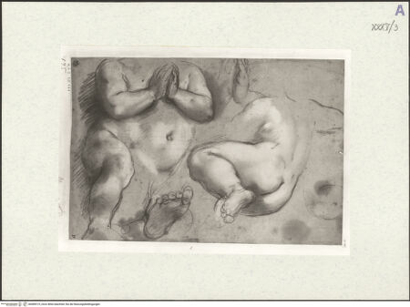 Vorderseite von bh489319_recto