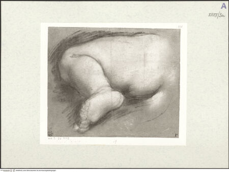 Vorderseite von bh489320_recto