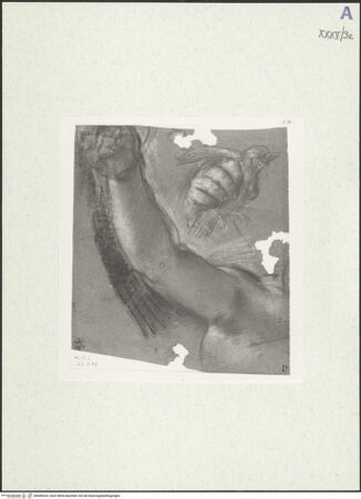 Vorderseite von bh489324_recto