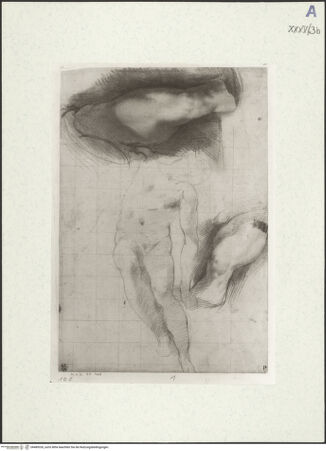 Vorderseite von bh489326_recto