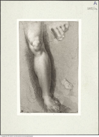 Vorderseite von bh489327_recto