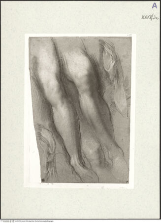 Vorderseite von bh489328_recto