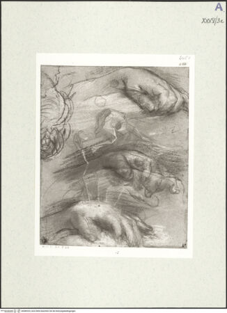 Vorderseite von bh489329_recto