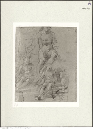 Vorderseite von bh489330_recto