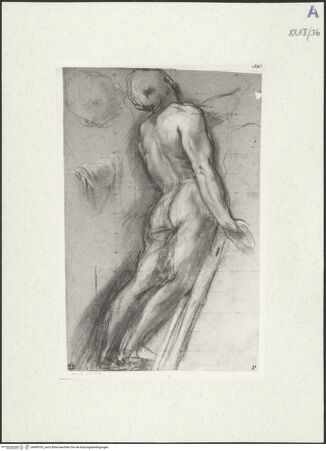 Vorderseite von bh489333_recto