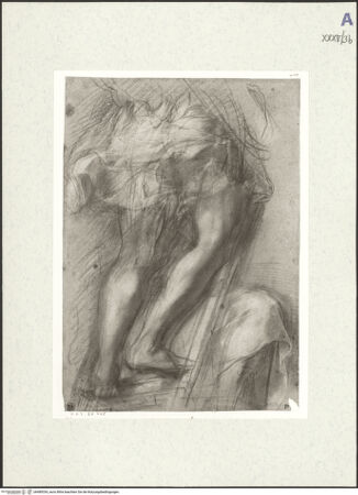 Vorderseite von bh489334_recto