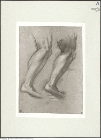 Vorderseite von bh489335_recto