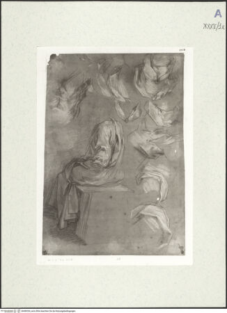 Vorderseite von bh489336_recto