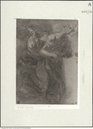 Vorderseite von bh489337_recto